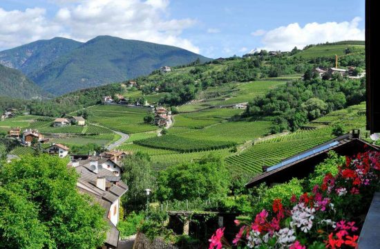 Seiserhof in Vahrn/Neustift - Südtirol