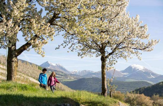 Seiserhof in Vahrn/Neustift - Südtirol