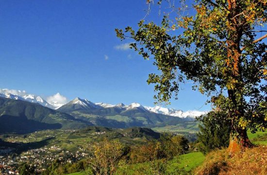 Seiserhof a Varna/Novacella - Alto Adige