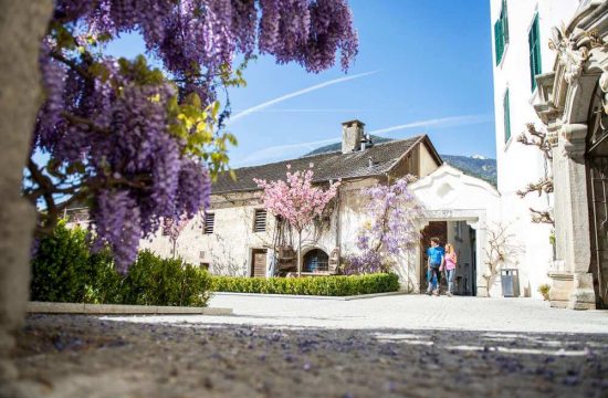 Seiserhof in Vahrn/Neustift - Südtirol